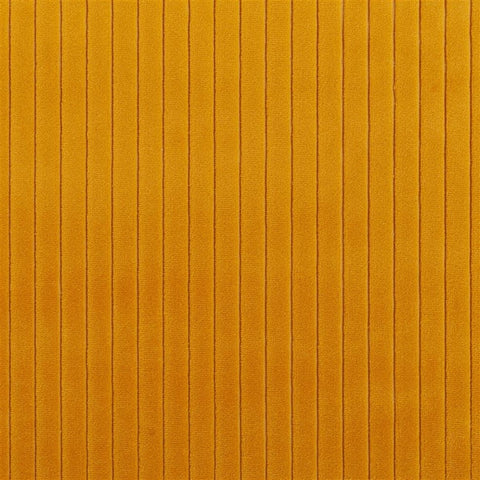 AMBER