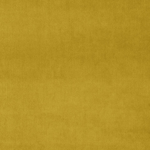 CANARY